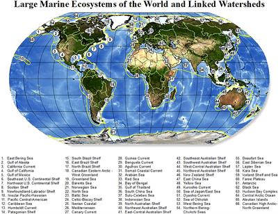 Carbon Transfer Efficiency and Risk of Fisheries Collapse in Three Large Marine Ecosystems Around China